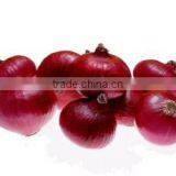 Large Machine Cutter Chengdu Mashed Garlic Ginger Garlic Machine of High Quality Stainless Steel Blade Free Use of a Machine thumbnail-3