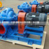 Large Capacity Hydro Power Plant Double Suction Sea Water Pump thumbnail-3