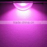 Powerful Cob Led Full Spectrum Chip for Plant,plant Chips thumbnail-3