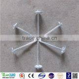 Nails for Construction/Galvanized Iron Nails,umbrella Head Roofing Nails thumbnail-5
