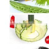 CY127 Creative Cucumber Mask Cutter Vegetable Fruit Slicer Cutter Grater thumbnail-4