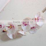 Decorative Real Touch Artificial Orchid Flower in Factory Price thumbnail-5