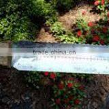 Hori Hori Knife thumbnail-2