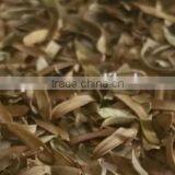 2016 New Dried Olive Leaf thumbnail-3