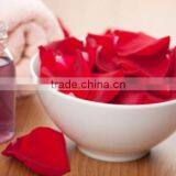 Rose Absolute Oil thumbnail-3