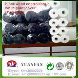 Frost Protection Garden Plant Cover/Nonwoven Agriculture Covering thumbnail-3