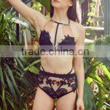Runwaylover 5392 Hot Sale Ladie Sexy Ladies Embroider Sexy Bra Set thumbnail-2