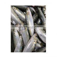 Price Frozen Sardine Fish Sardine Exporters thumbnail-4