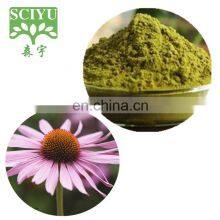 Bulk 4% Polyphenol Echinacea Purpurea Extract Powder thumbnail-2