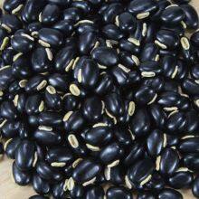 Black Lentils/Black Hyacinth Beans thumbnail-1