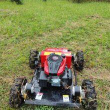 rc Remote Control Lawn Mower, China Robotic Slope Mower Price, Remote Control Mower Price for Sale thumbnail-2