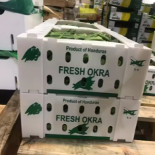 Wholesale Corrugated PP Plastic Vegetables Crates – Custom Packaging Box Factory thumbnail-3