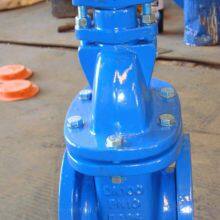 BS5163 BS5150 BS3464 Metal Seat Gate Valve Cast Iron Gate Valve DN80 BS Non Rising Stem Gate Valve thumbnail-6