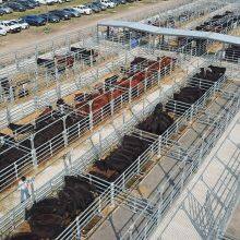 Cheap Pen Horse Corral Panels Livestock Cattle Panels for Farm thumbnail-2