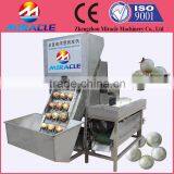 Industrial Onion Cutting Machine to Cut Onion Root and Tail Equipment thumbnail-2