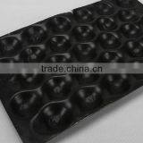 PP/PS Plastic Tray for Fruits