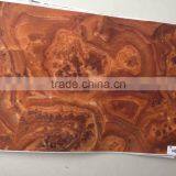 Reverse Hot Stamping Foil for Transparent PP Board thumbnail-3