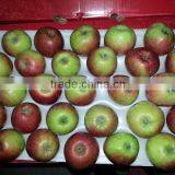 New Crop Jiguan Apples,Small Apples,low Price thumbnail-1