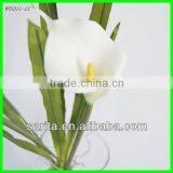 Factory Direct Sale Real Touch Artificial Flower With White Colors thumbnail-1