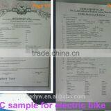 Electric Bike thumbnail-6