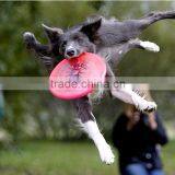 Custom Logo Printing Cheap Promotional Dog Nylon Foldable Polyester Flying Disc