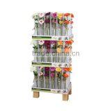 Best Selling Items Cheap Colored Glass Vases for Sale thumbnail-5