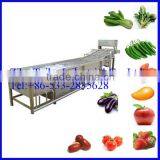 Automatic Fruit Green Vegetable Washing Machine Hot Selling