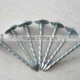 Galvanized Roofing Nails With Twisted Shank thumbnail-1