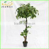 Indoor Artificial Big Leaves Plant Trees Wooden Trunk for Decoration