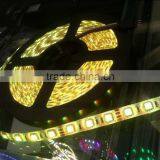 SMD 5050 LED Strips Light RGB High Quality 10M Waterproof Flexible Smart Lighting Battery Powered Flexible Led Strip Lights thumbnail-3