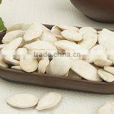 Snow White Pumpkin Seeds , Pumpkin Seeds in Shell thumbnail-3
