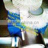 Low Broken Rate Goose Duck Chicken Egg Washing Machine/egg Cleaning Machine thumbnail-4