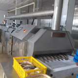 -196C Liquid Nitrogen Freezer,iqf Freezer for Seafood thumbnail-4