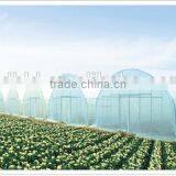 Single-Span Hot-Dip Galvanized Steel Pipe Frame 200mm PVC Film Covered Greenhouse thumbnail-5