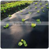 3% UV Resistant Agriculture Nonwoven Fabric thumbnail-2