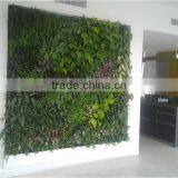 SJ0409005 New Indoor Art Artificial Plastic Plants Green Wall thumbnail-1