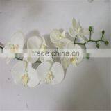 SJ20170048 China Wholesale Factory Price Silk Dance Orchid for Indoor Decoration Cheap Silk Dance Orchid thumbnail-1