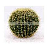 Indoor & Outdoor Decoration Artificial Ball Cactus thumbnail-1