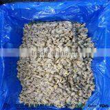 10KG BULK BABY CLAM MEAT FROM 2016 CLAM SEASON thumbnail-2