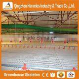 HERACLES Broiler Chicks Rate/ Automatic Broiler Feeding System /broiler Chicken Farming thumbnail-2