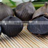Gmp Factory Black-gar Aged Black Garlic thumbnail-4