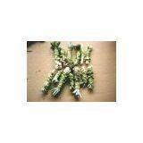 China (Mainland) Wasabi Powder thumbnail-1