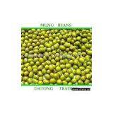 Mung Beans thumbnail-1