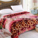 New Style Printed Sharpe/polar Fleece Blanket 2ply Blanket thumbnail-2