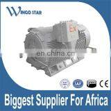 High Voltage Mining Explosion Proof ATEX Induction Electric Motor thumbnail-4