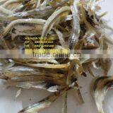 DRIED ANCHOVY thumbnail-1