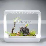 Full Spectrum White Light Grow Lights 4000K/6000K Grow Lamp For Indoor Plants thumbnail-2