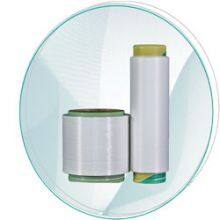 Functional Nylon 6 Yarn