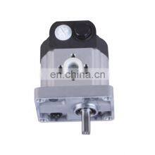 High Performance Customized 4249207M91 Hydrualic Pump 12v