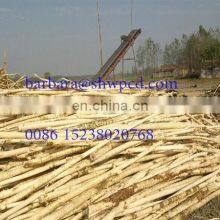 Hot Sell Log Wood Debarker Machine With Factory Price thumbnail-4
